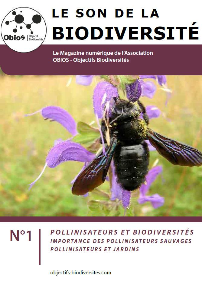 Son de la biodiversité n°1 - Le magazine numérique d'OBIOS